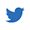 Twitter Link