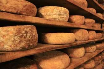 Riping Cheese